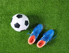 包含足球赛场再起风云：渝州鲨队队惊险晋级闽南独角兽队，赛场气氛火爆外援联手发威的词条